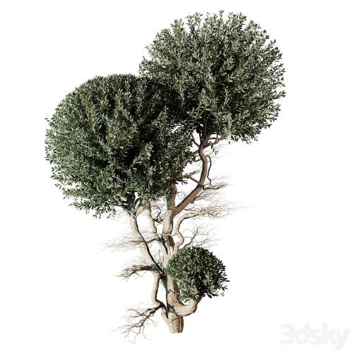 '3dsky Pro - tree vol 17'