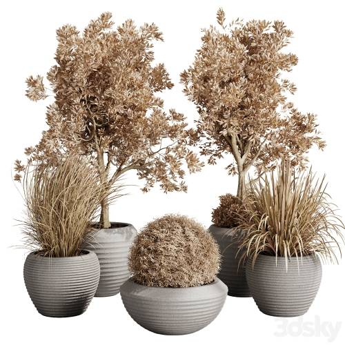 '3dsky Pro - Dry Grass and Trees in a Concrete Pot - Indoor plant autumn set 570' '3dsky Pro - Dry Grass and Trees in a Concrete Pot - Indoor plant autumn set 570'