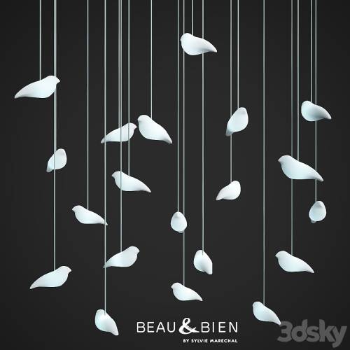 '3dsky Pro - Smoon birdie light'