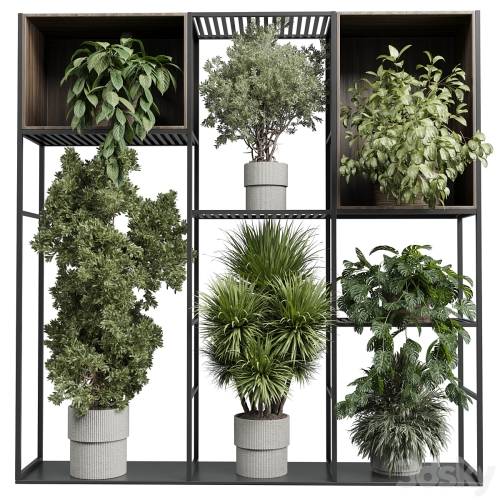 '3dsky Pro - Standing metal shelf with a set of plants in wooden and metal boxes 419' '3dsky Pro - Standing metal shelf with a set of plants in wooden and metal boxes 419'