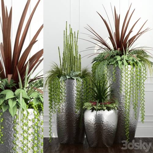 '3dsky Pro - Room plants 12'