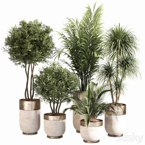 '3dsky Pro - Indoor Plant Set 053'