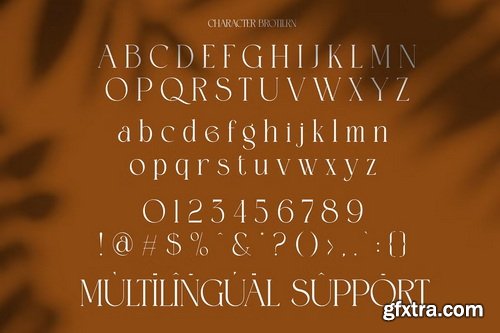 CreativeMarket - Brotilen Elegant Ligature Serif