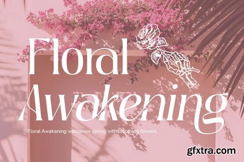 CreativeMarket - Deranie - Modern Elegant Serif Font