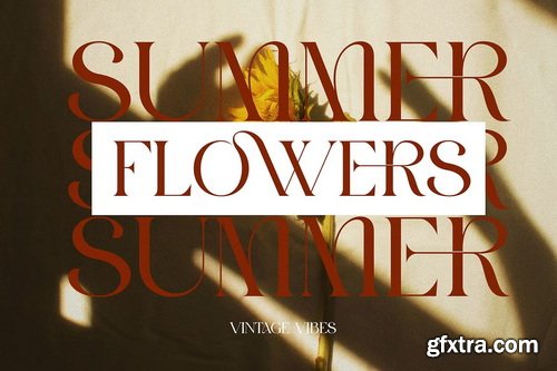 CreativeMarket - GROMER Elegant Ligature Serif