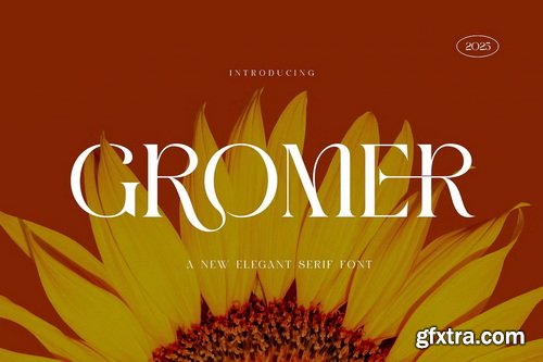 CreativeMarket - GROMER Elegant Ligature Serif