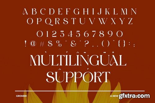 CreativeMarket - GROMER Elegant Ligature Serif