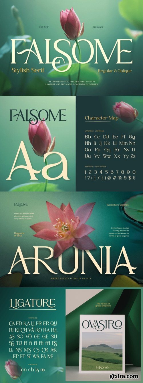 CreativeMarket - Falsome Font 291398207