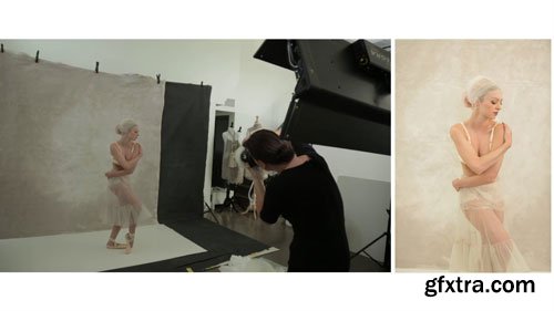 The Portrait System - Pink Dancer