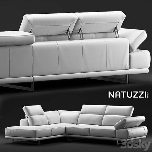 '3dsky Pro - Sofa Natuzzi Borghese'