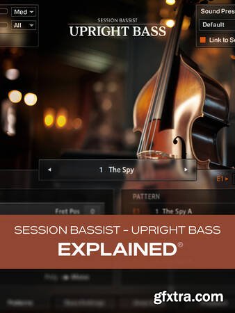 Groove3 - Session Bassist - Upright Bass Explained