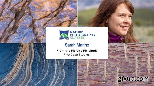 Naturephotographyclasses - Sarah Marino - From the Field to Finished: Five Case Studies