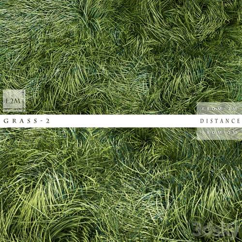 '3dsky Pro - GRASS 2' '3dsky Pro - GRASS 2'