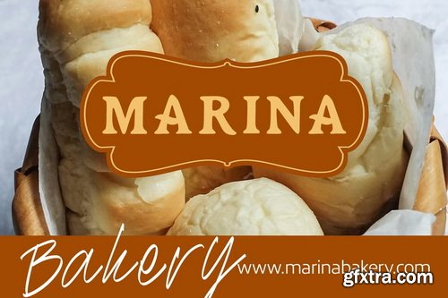 CreativeMarket - Dustine Font Duo – Serif and Script