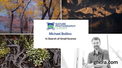 Naturephotographyclasses - Michael Bollino - In Search of Small Scenes