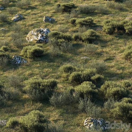 '3dsky Pro - forest landscape'