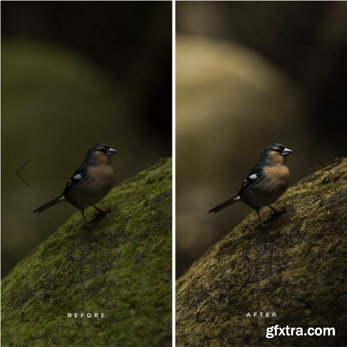 Alex Pantela - WILDERNESS PRESETS