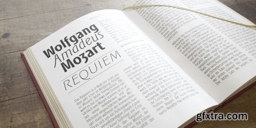 MyFonts - PGF Elyss Sans Pro Font Family