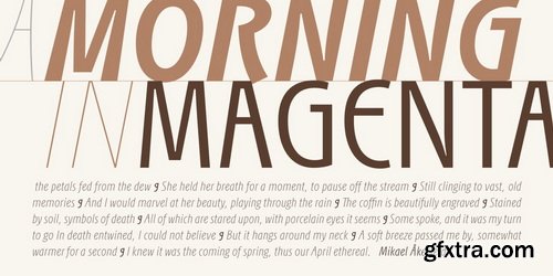 MyFonts - PGF Elyss Sans Pro Font Family