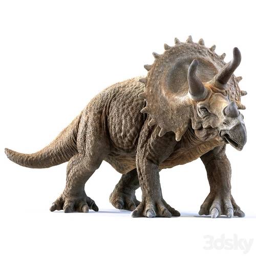 '3dsky Pro - triceratops'