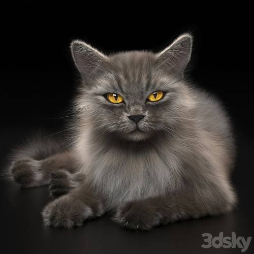 '3dsky Pro - CAT 4 VRay' '3dsky Pro - CAT 4 VRay'