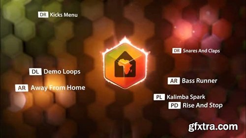 reFX Nexus 5 Expansion Afro House