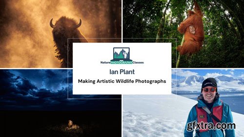 Naturephotographyclasses - Ian Plant - Making Artistic Wildlife Photographs