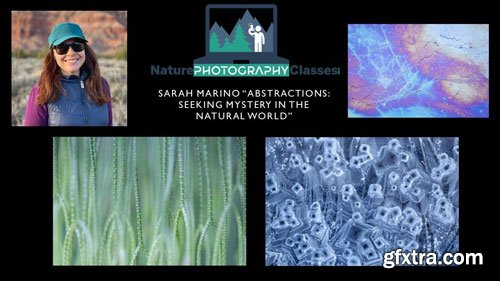 Naturephotographyclasses - Sarah Marino - Abstractions: Seeking Mystery in the Natural World