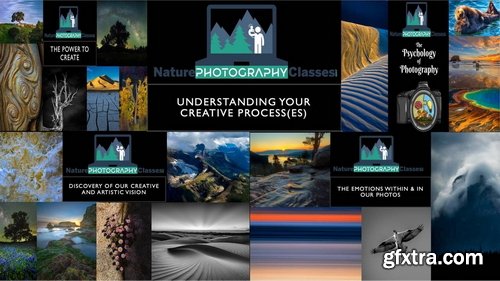 Naturephotographyclasses - Understanding Your Creative Process