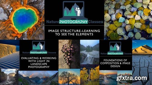 Naturephotographyclasses - Image Structure - Learning to See the Elements
