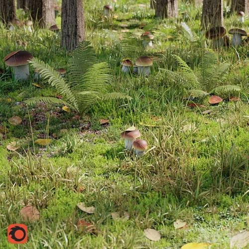 '3dsky Pro - Forestry set' '3dsky Pro - Forestry set'