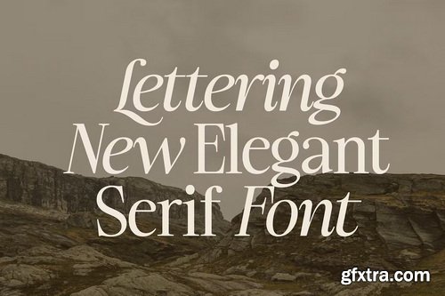CreativeMarket - Ladinta - Family Serif Font