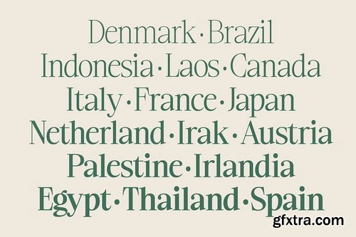 CreativeMarket - Ladinta - Family Serif Font