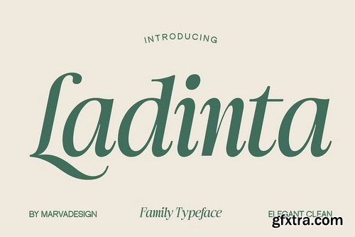 CreativeMarket - Ladinta - Family Serif Font