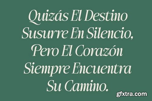 CreativeMarket - Ladinta - Family Serif Font