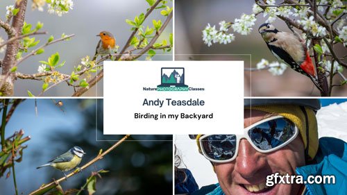 Naturephotographyclasses - Andy Teasdale - Birding in my Backyard