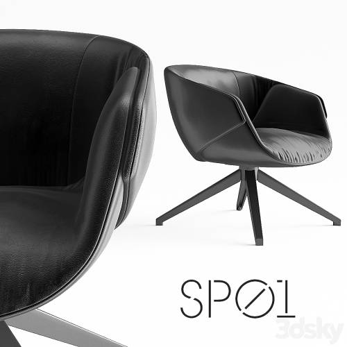 '3dsky Pro - SP01 Anita'