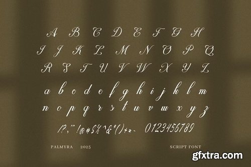 CreativeMarket - Palmyra Script Font