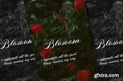 Fopheras Casual Script Font