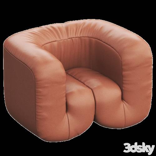 '3dsky Pro - DS-707 Leather armchair By de Sede'