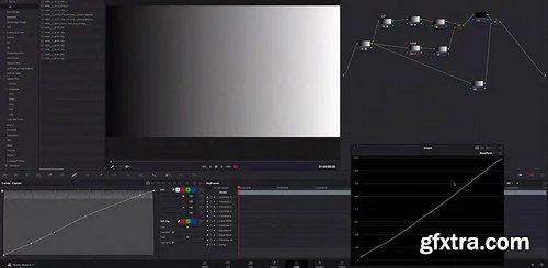 MixingLight - How To ‘Trace’ a LUT’s Contrast Curve By Hand