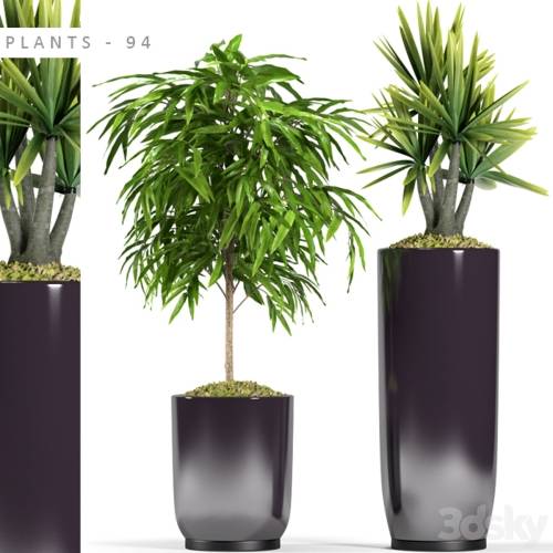 '3dsky Pro - PLANTS 94' '3dsky Pro - PLANTS 94'