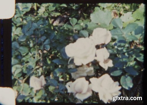 ArtList - Garden at Fall 8mm - HD Collections