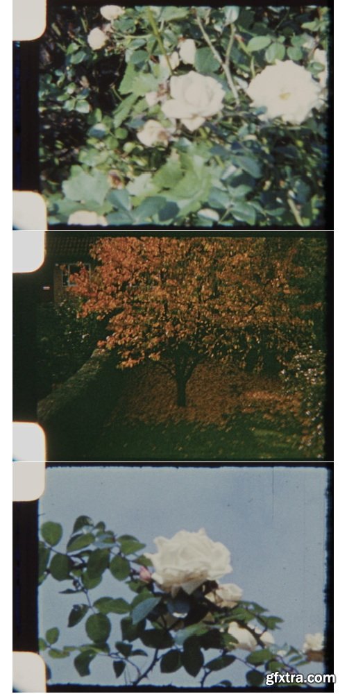 ArtList - Garden at Fall 8mm - HD Collections