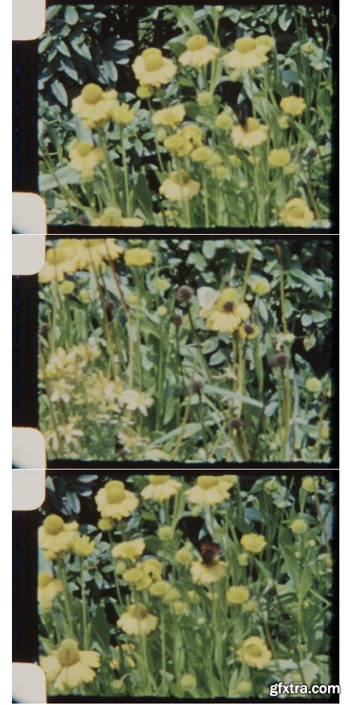 ArtList - Garden at Fall 8mm - HD Collections