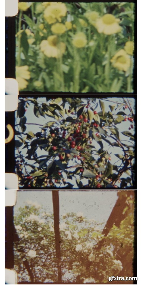 ArtList - Garden at Fall 8mm - HD Collections