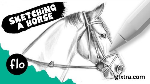 Art With Flo - Sketching a Horse