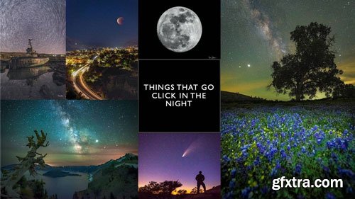 Naturephotographyclasses - Field to Finish - Things that Go Click in the Night