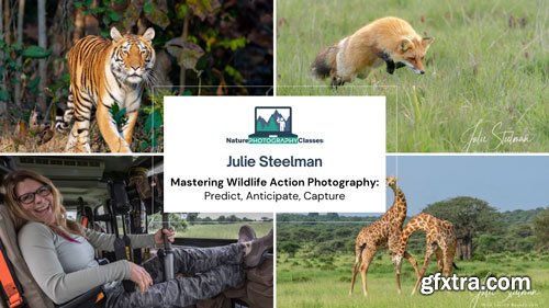 Naturephotographyclasses - Julie Steelman - Mastering Wildlife Action Photography: Predict, Anticipate, Capture