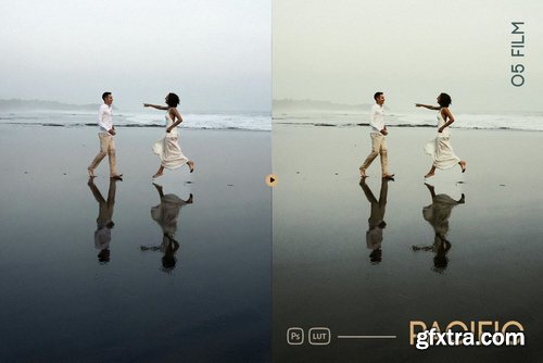 PreseTrain - Pacific Lightroom Presets and LUTs